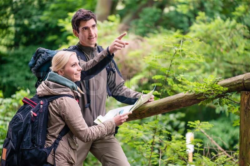 Hikers, woman and man, in the woods orientating with trail map, stock photo
