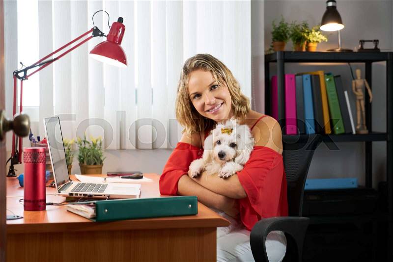 People, pets and love for animals. Woman at home in office room works on laptop holding her little dog. She turns to the camera smiling. , stock photo
