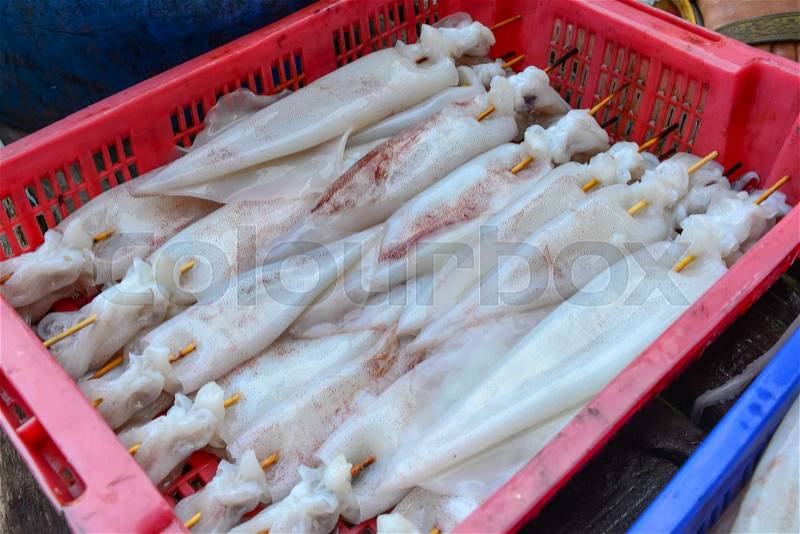 Fresh Squid or seafood on a market stall, stock photo