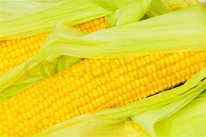 Extreme close up of yellow corn cobs, stock photo