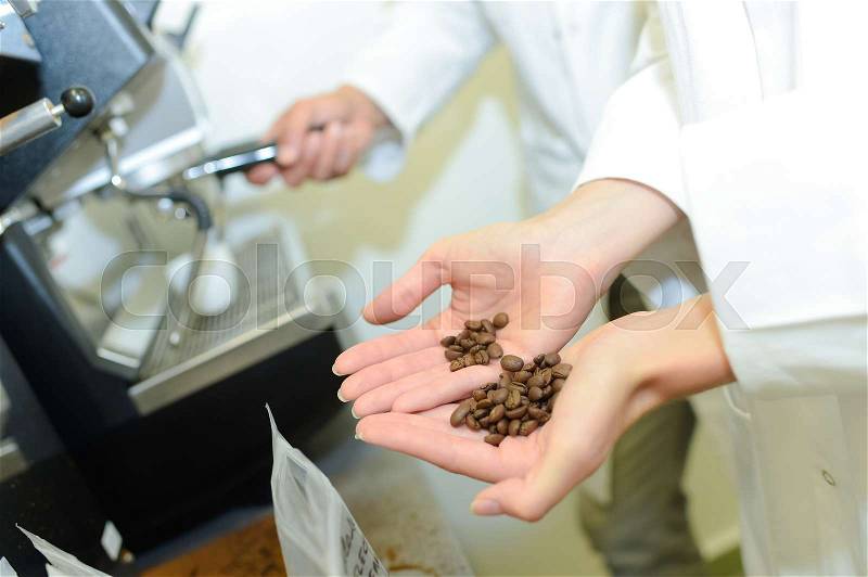 Coffee beans held in palm of woman\'s hand, stock photo