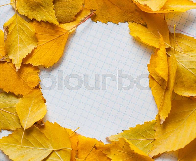 Autumn leaves in circle frame with place for your text isolated on white background, stock photo