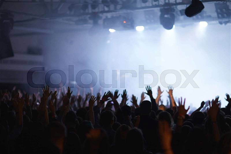 Cheering fans having fun at live concert, stock photo
