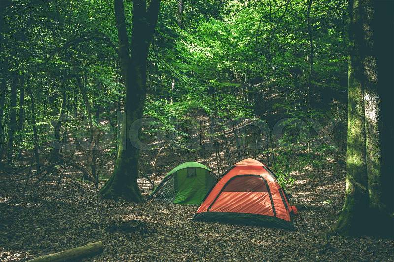Camping site with two tents in a green forest, stock photo