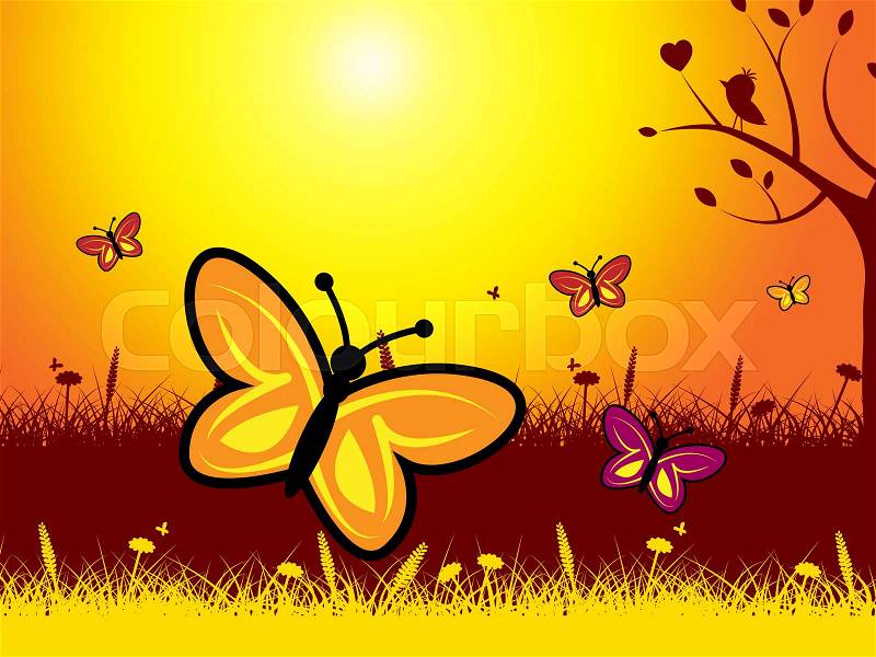 Butterflies And Flowers Showing Evening Nature And Summer, stock photo