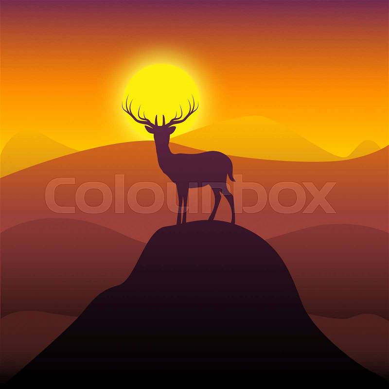 Mountain Deer Representing Wilderness Buck And Hunting, stock photo