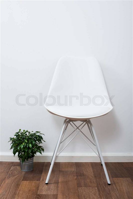White stylish designer chair and green home plant near the wall in empty room interior, stock photo
