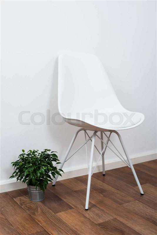White stylish designer chair and green home plant near the wall in empty room interior, stock photo