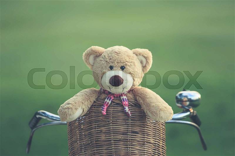 Close up lovely brown teddy bear in rattan basket on vintage bike in green field with lens flare. Warm toning effect. Retro and vintage style, stock photo