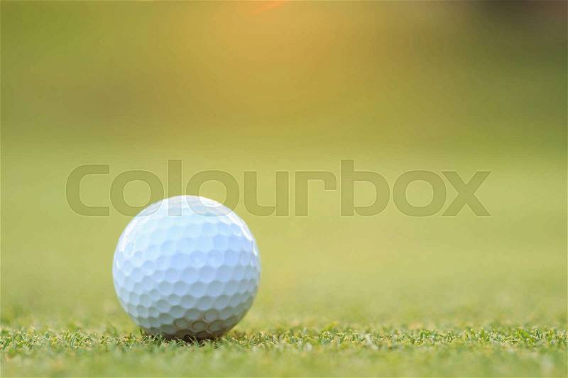 Close up golf ball on green grass in course, stock photo