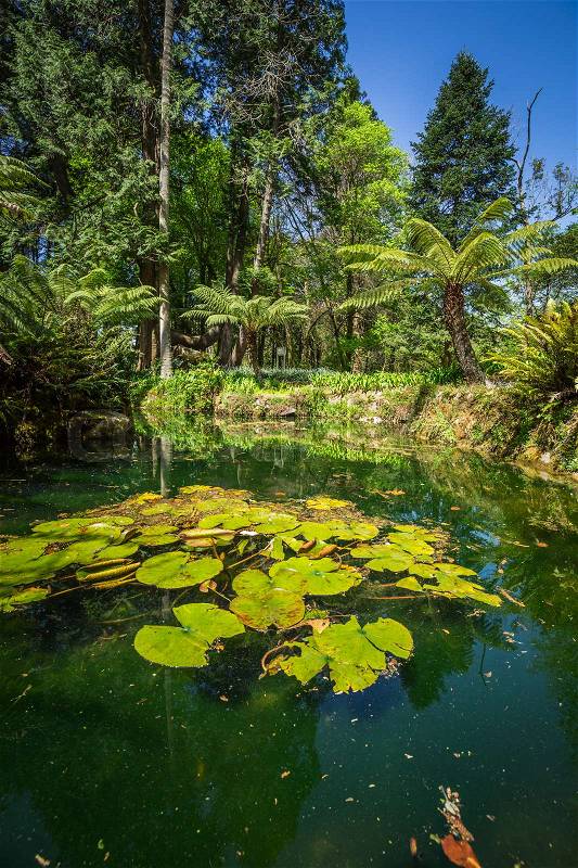Garden of eden garden located in Sintra, Portugal, stock photo
