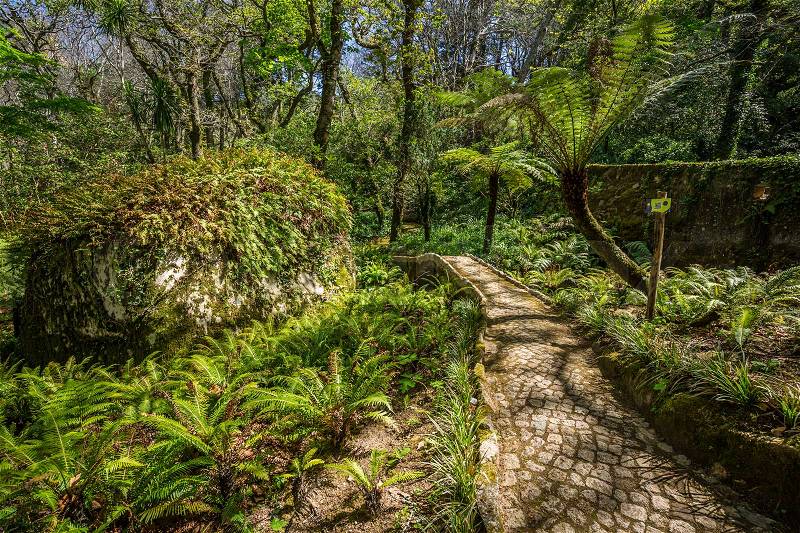 Garden of eden garden located in Sintra, Portugal, stock photo