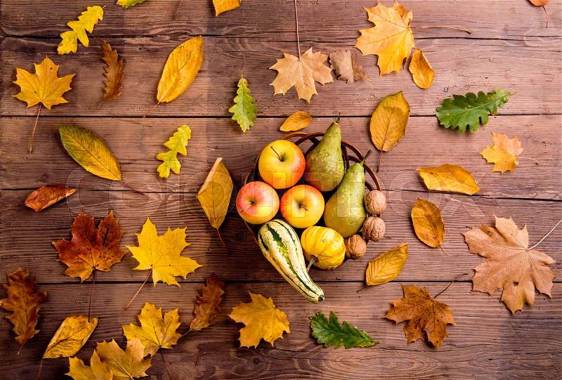 Autumn leaf and fruit composition. Studio shot on wooden background, flat lay, stock photo