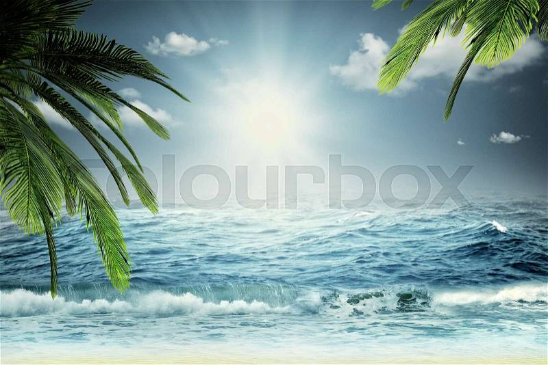 Beautiful sea, summer travel backgrounds with ocean waves, palm tree and sky, stock photo