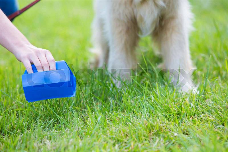 Owner Clearing Dog Mess With Pooper Scooper, stock photo