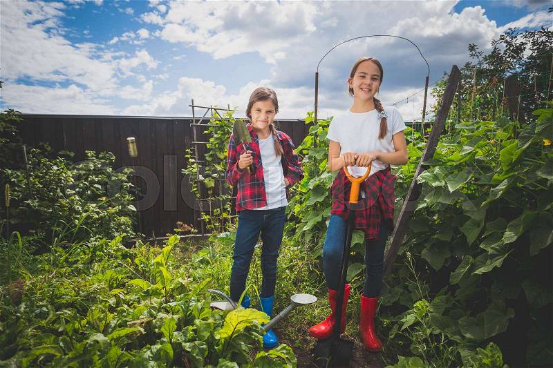 Toned image of two young sisters working at backyard garden, stock photo