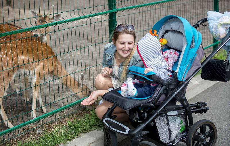 Beautiful smiling mother showing animals to her baby boy in the zoo, stock photo