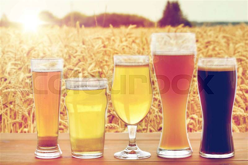 Brewery, drinks and alcohol concept - close up of different beers in glasses on table over cereal field background, stock photo