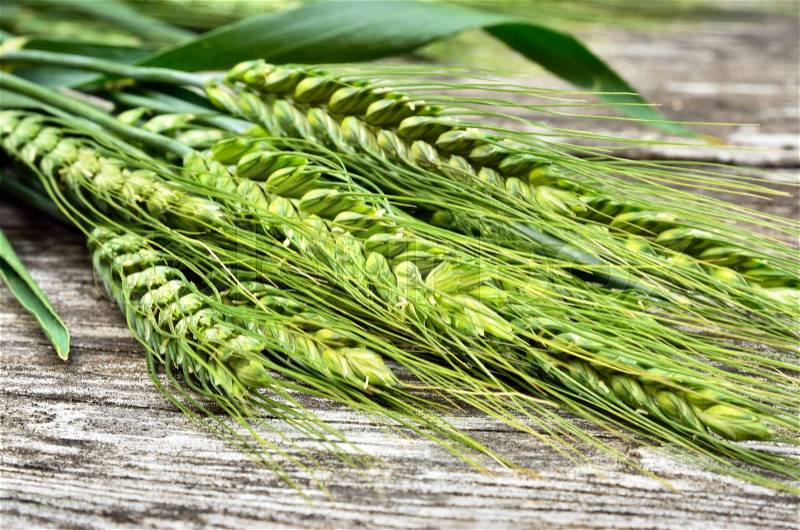 Green ears of wheat on wooden background. Grain harvest on the table, stock photo