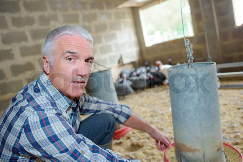 Poultry farmer in the pen house, stock photo