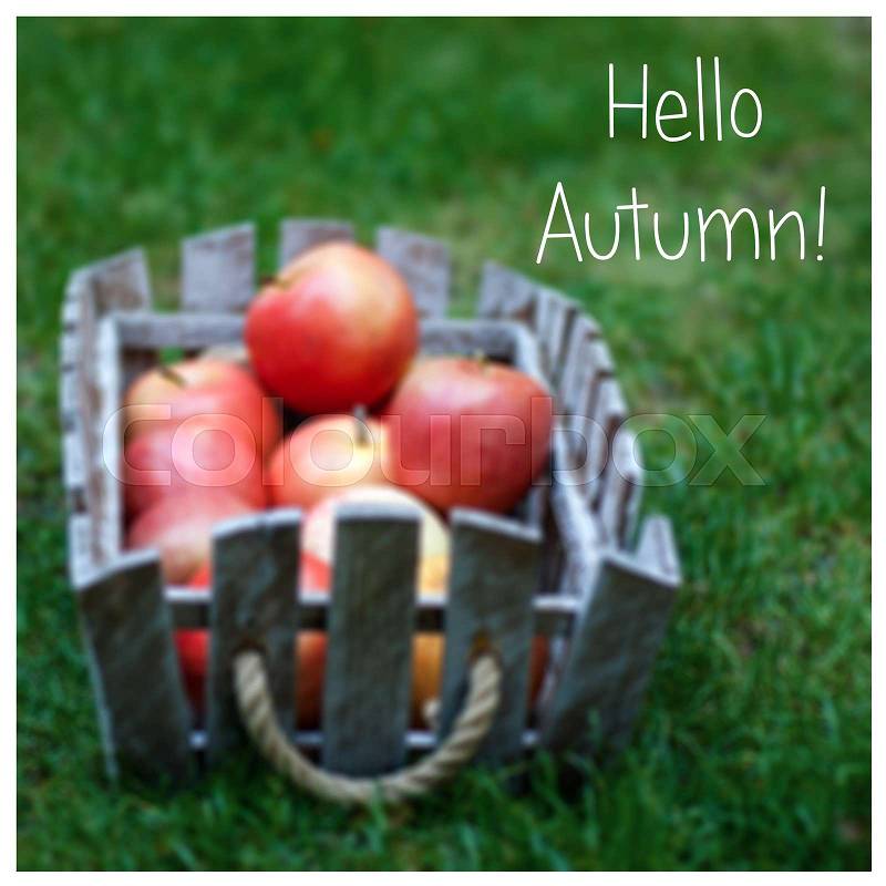 Inspirational Quote - Hello Autumn. Harvest time, fresh apples in a basket on green grass, stock photo