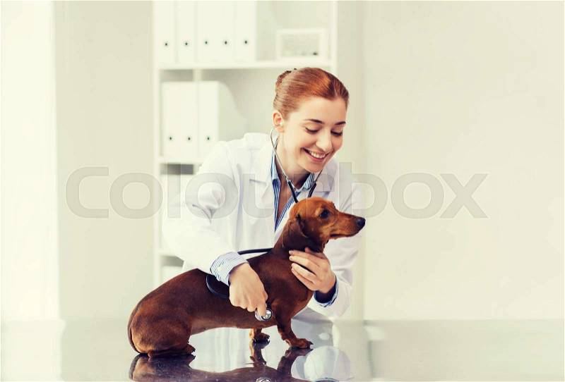 Medicine, pet, animals, health care and people concept - happy veterinarian doctor with stethoscope examining dachshund dog at vet clinic, stock photo