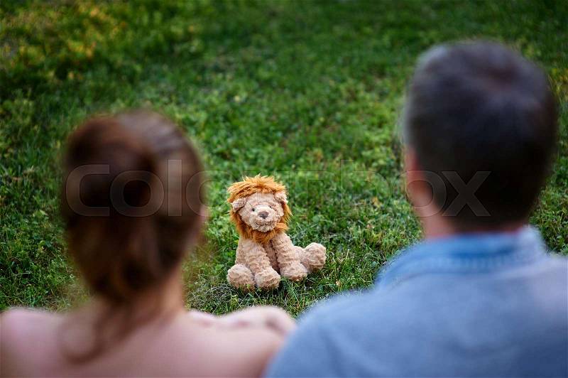 Love couple sitting on the grass and look at the toy lion, stock photo
