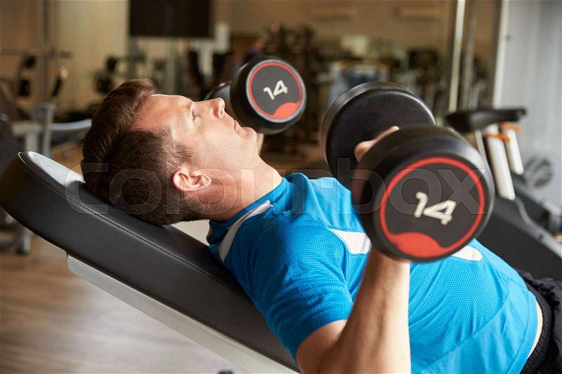 Man works out with dumbbells on a bench at a gym, side view, stock photo