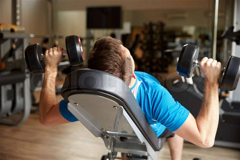 Man works out with dumbbells on a bench at a gym, back view, stock photo