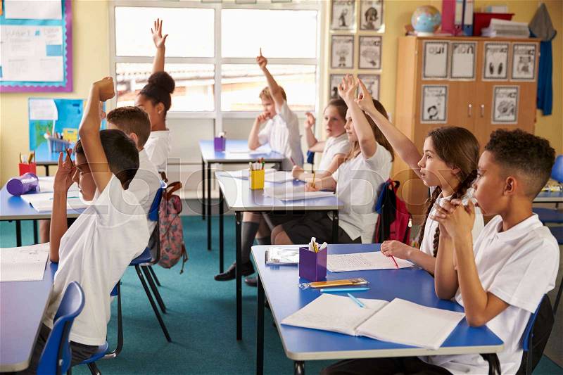 Pupils raise hands in a lesson at primary school, side view, stock photo