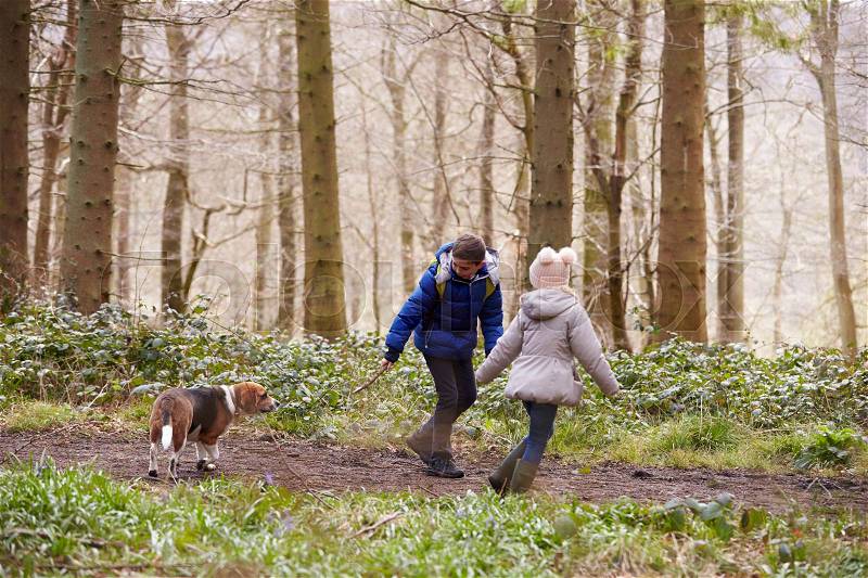 Side view of brother and sister walking pet dog in a wood, stock photo