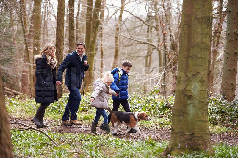 Side view of family walking pet dog in a wood, closer in, stock photo