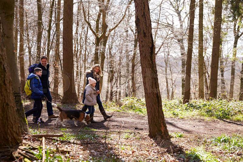 Side view of family walking with pet dog in a wood, stock photo