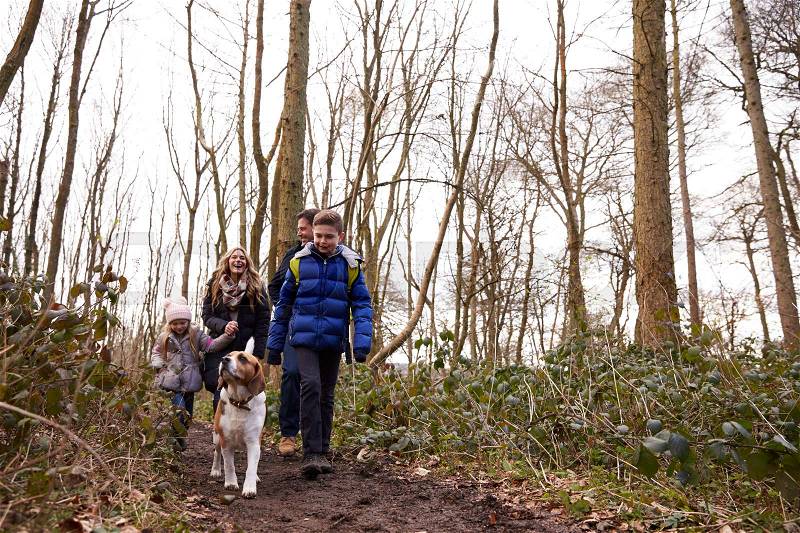Family walking with pet dog in a wood, low angle view, stock photo