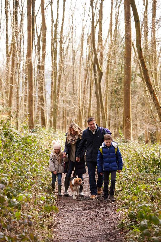 Family with pet dog walking in a wood, vertical, stock photo