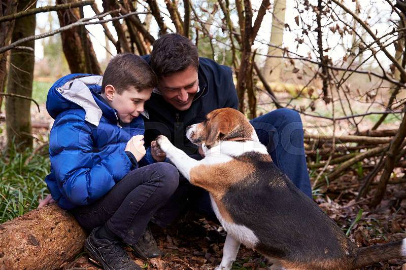 Father and son playing with dog under a shelter of branches, stock photo