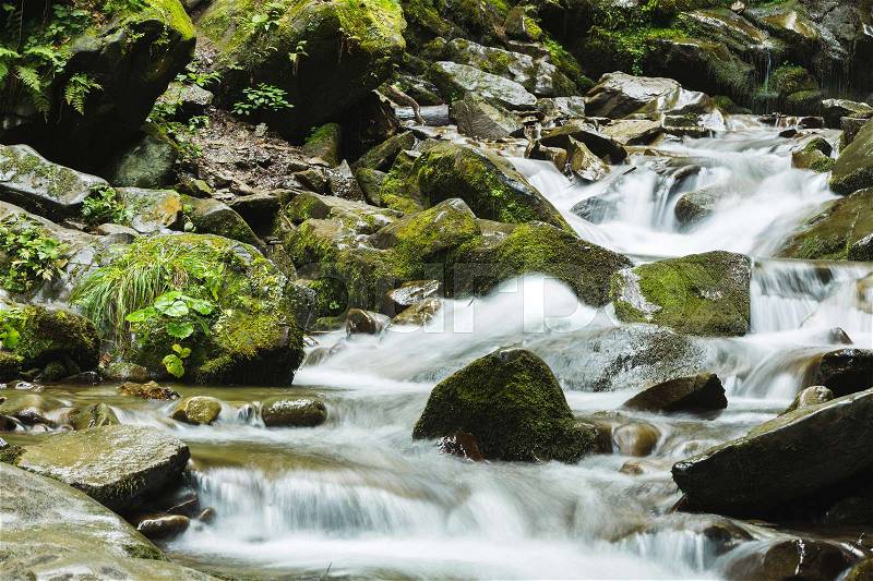 Fast stream in forest flowing among stones, stock photo