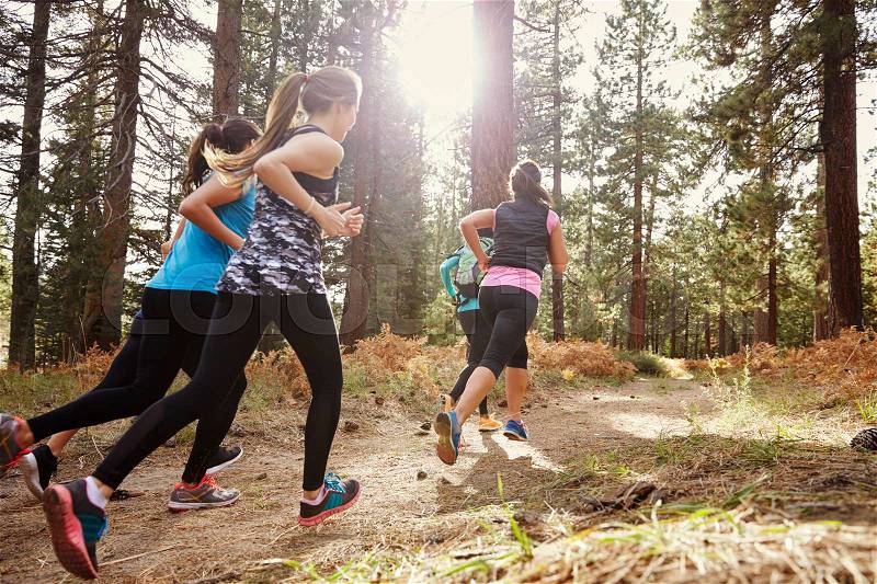 Group of young adult women running in a forest, back view, stock photo