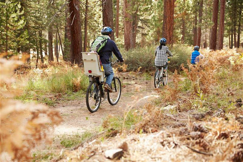 Family cycling through a forest, back view, stock photo