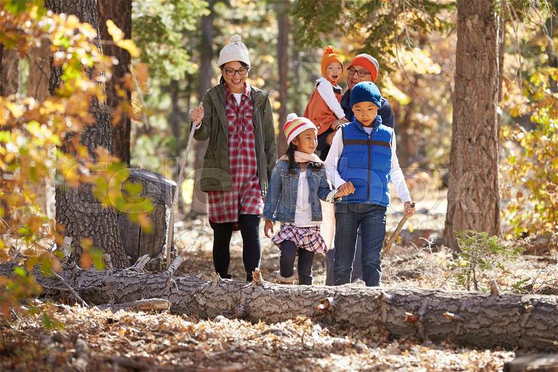 Asian family of five enjoying a hike together in a forest, stock photo