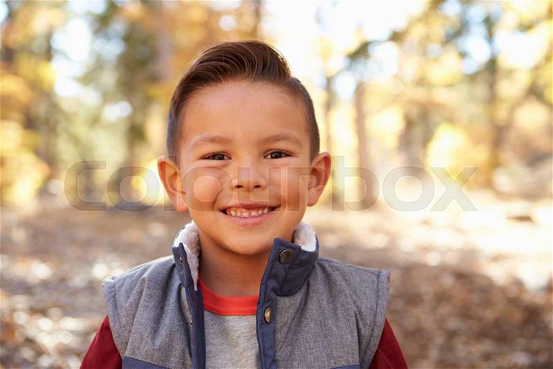 Head and shoulders portrait of a Hispanic boy in a forest, stock photo