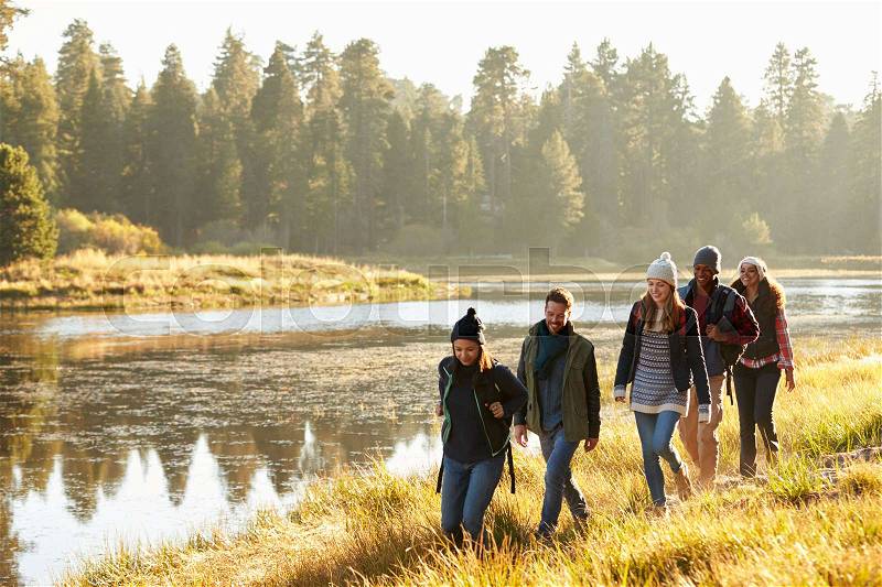 Five friends walking in a row in countryside beside a lake, stock photo