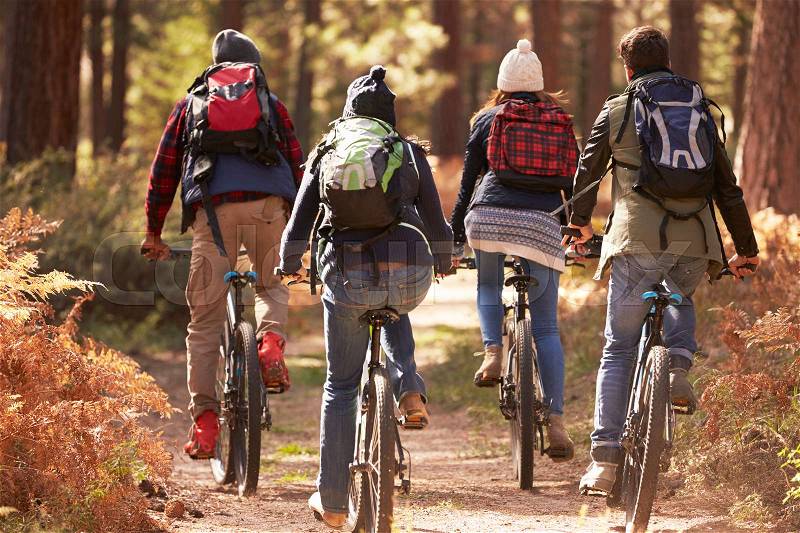 Group of friends on bikes in a forest, back view close up, stock photo