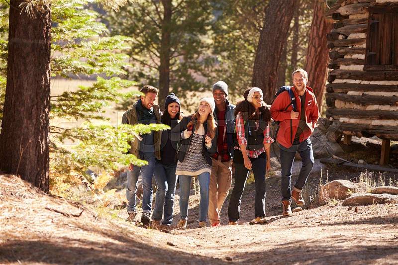 Six friends walking on forest path past a log cabin, stock photo