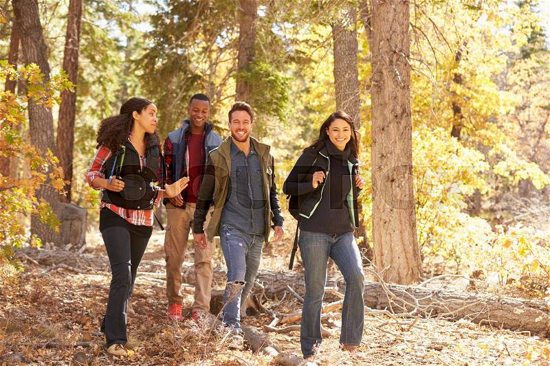 Four happy friends enjoy a hike in a forest, California, USA, stock photo