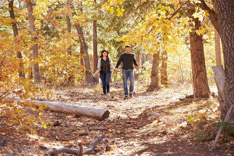 Smiling couple hike in forest holding hands in the distance, stock photo