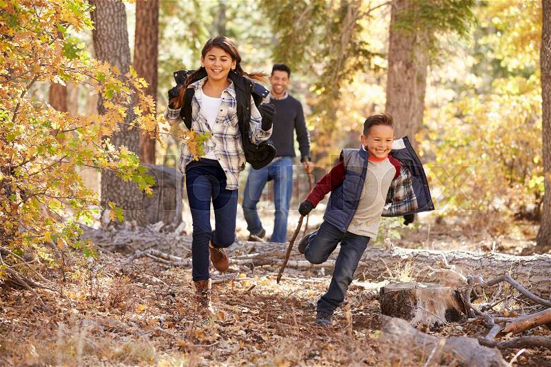 Children in a forest running to camera, father looking on, stock photo