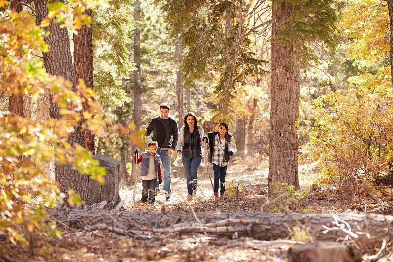 Hispanic family of four walking together in a forest, stock photo