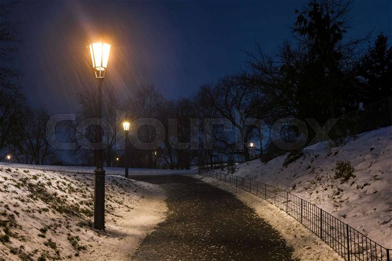 Lamp in the empty park during blizzard at night, stock photo