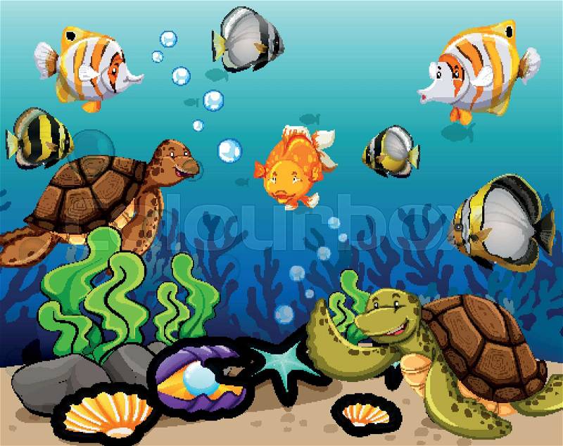Many sea animals swimming underwater illustration, vector